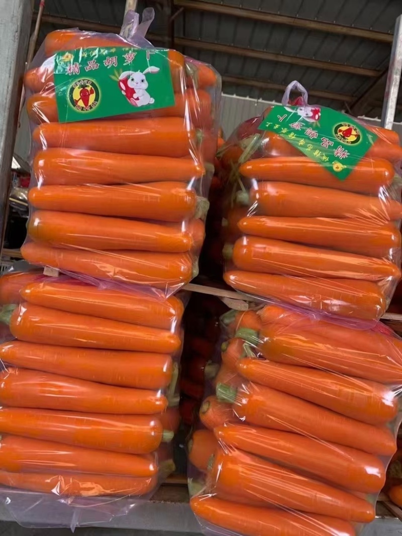 红萝卜电商商超水洗土货北京包质量保证量大货源充足