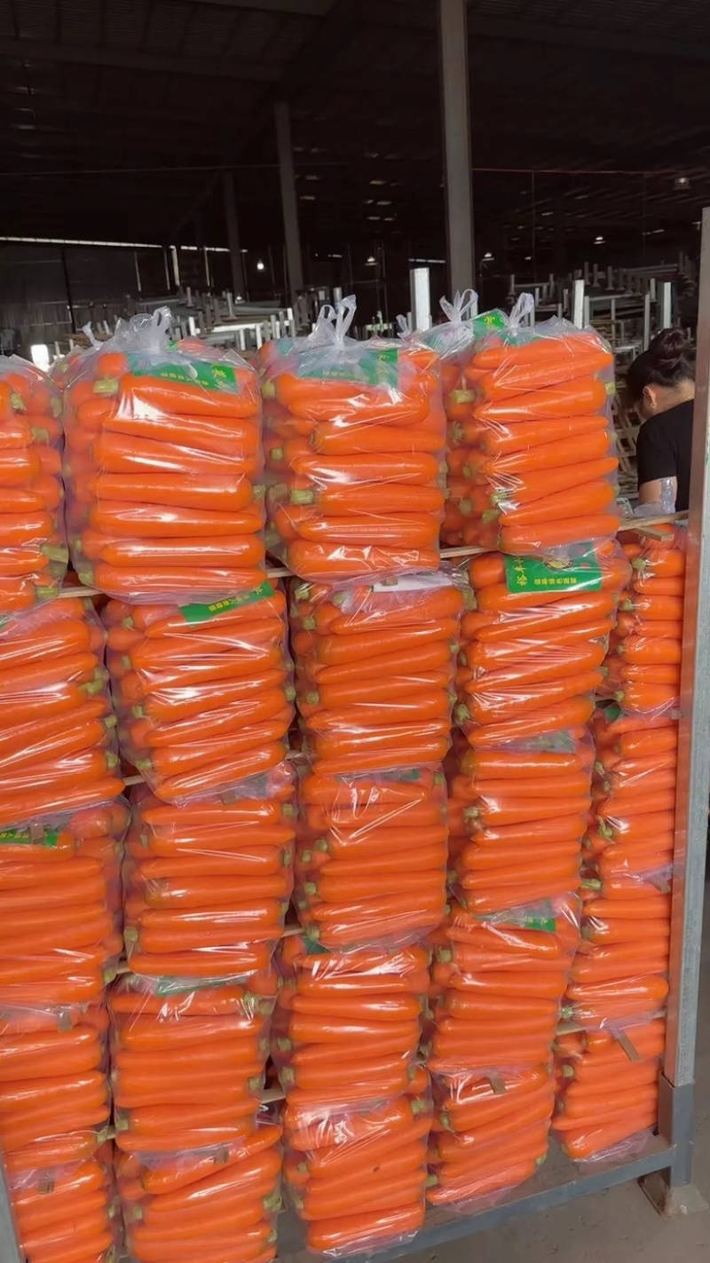 红萝卜电商商超水洗土货北京包质量保证量大货源充足