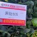 5斤装杂交菠菜籽黑钻505菠菜种子耐寒半直立趴地菠菜种子