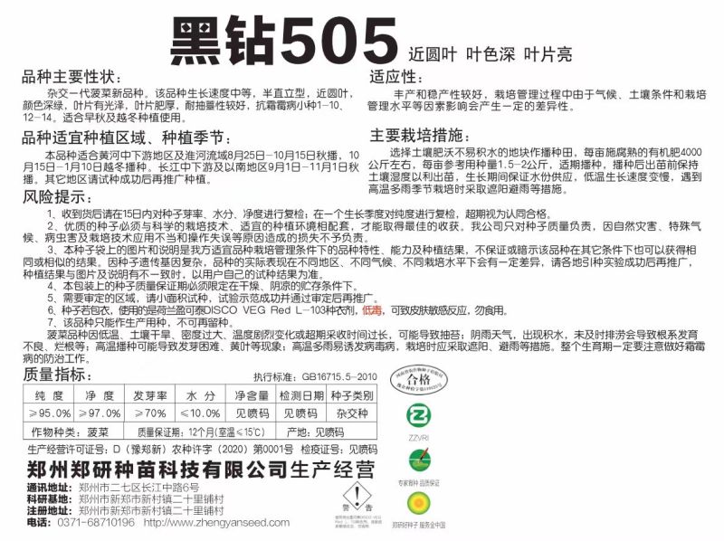 5斤装杂交菠菜籽黑钻505菠菜种子耐寒半直立趴地菠菜种子