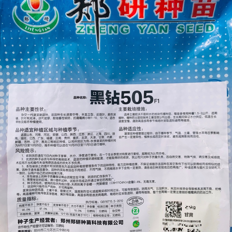 5斤装杂交菠菜籽黑钻505菠菜种子耐寒半直立趴地菠菜种子