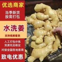 广西百色产地大量供应嫩生子姜承接，美团优选，多多买菜