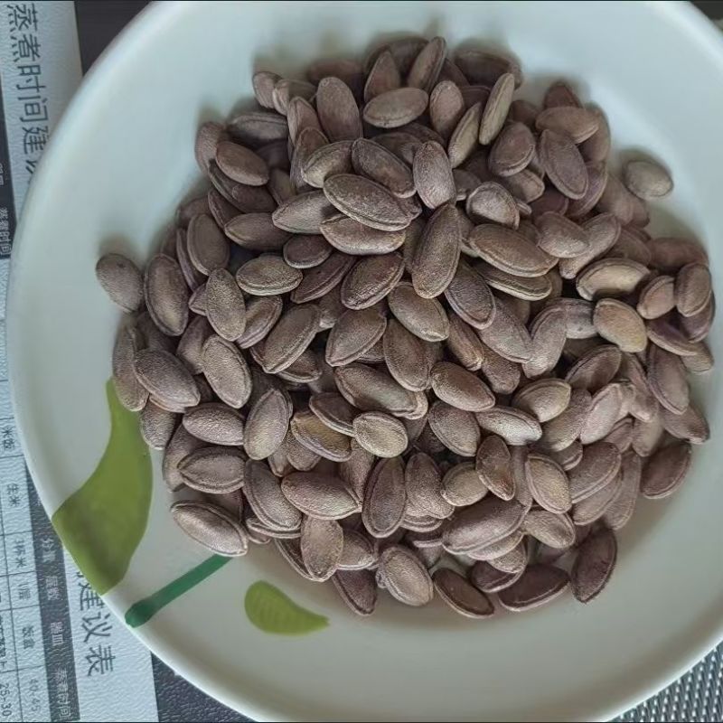正宗大别山特产奶油原味瓜子休闲零食特大粒瓜蒌籽非吊