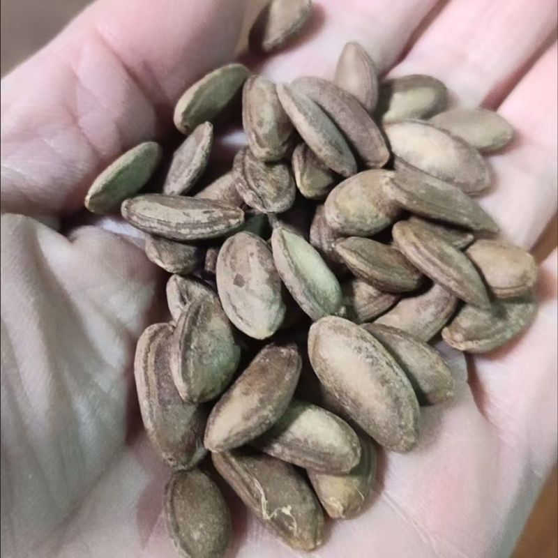 正宗大别山特产奶油原味瓜子休闲零食特大粒瓜蒌籽非吊