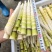 产地批发高山野竹笋