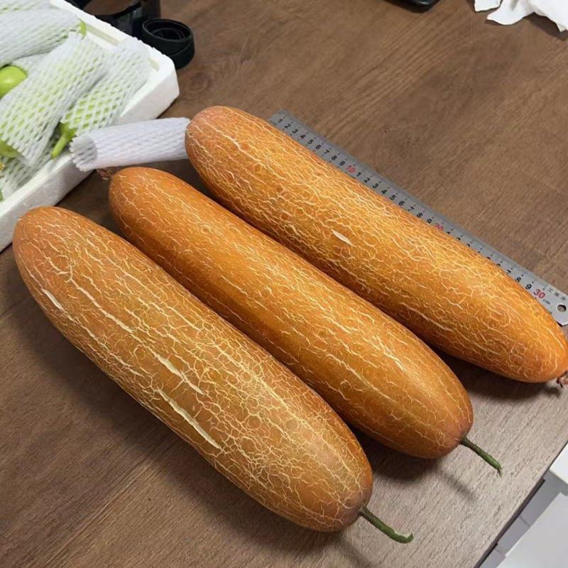 老黄瓜