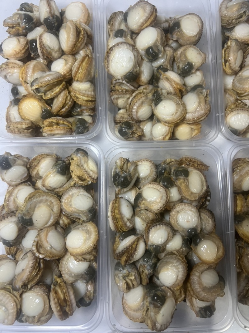 扇贝肉新鲜纯手工现剥扇贝肉
