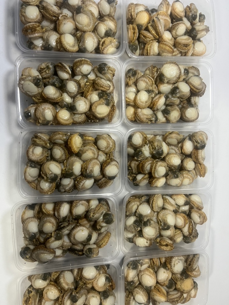 扇贝肉新鲜纯手工现剥扇贝肉