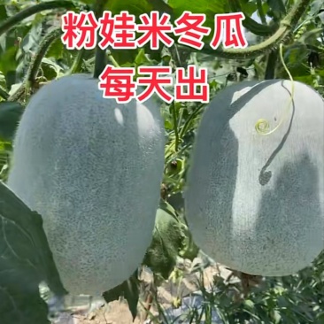 产地直发