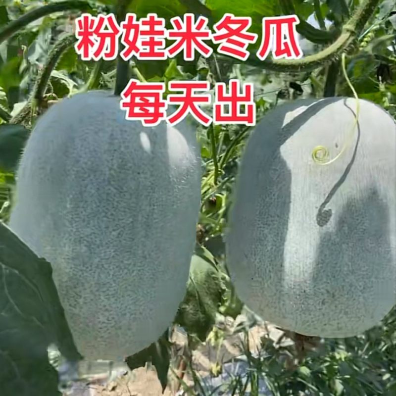 产地直发