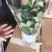 成都花卉十元模式配货