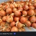 甘肃产地金科七号黄葱个头8-13厚皮耐存储