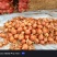 甘肃产地金科七号黄葱个头8-13厚皮耐存储