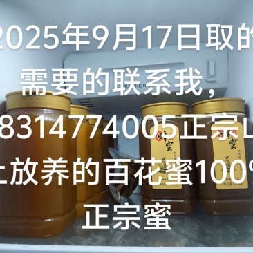 大山深处放养的土蜂蜜，百花蜜