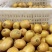 四川蒲江黄心猕猴桃G3黄金果专业一件代发