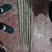 铁棍山药