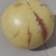 人生果