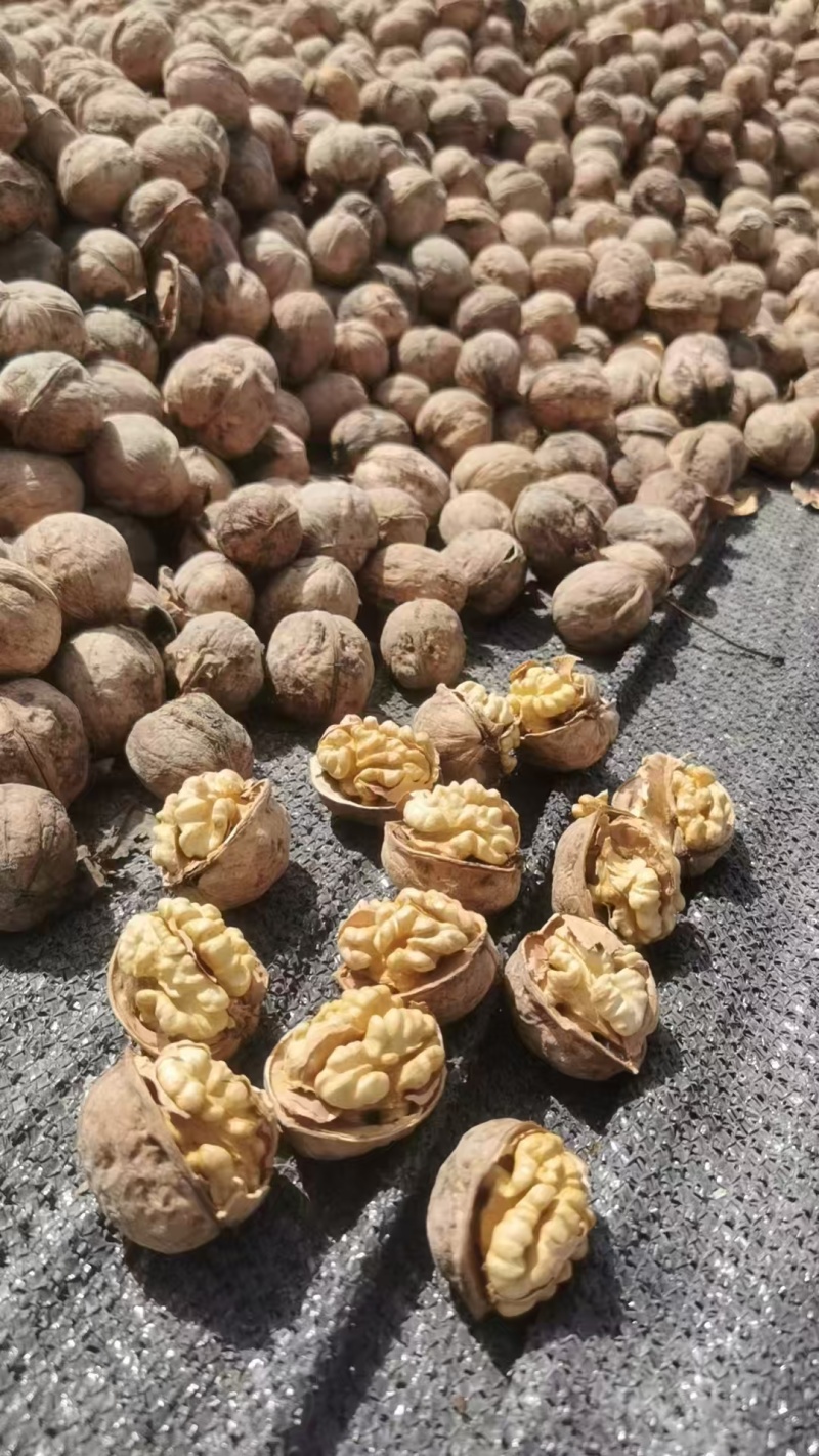 新疆阿克苏185薄皮核桃原地产品直发干果