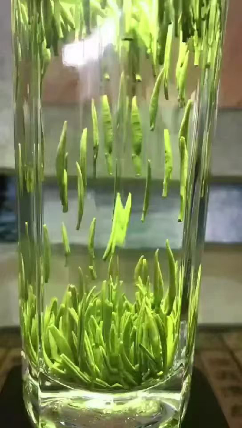 自家茶厂做的花茶