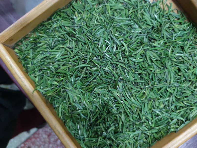 自家茶厂做的花茶