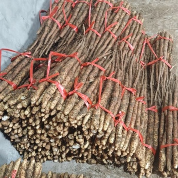 新鲜怀山药正宗焦作垆土山药温县产地发货散装盒子装铁棍山药
