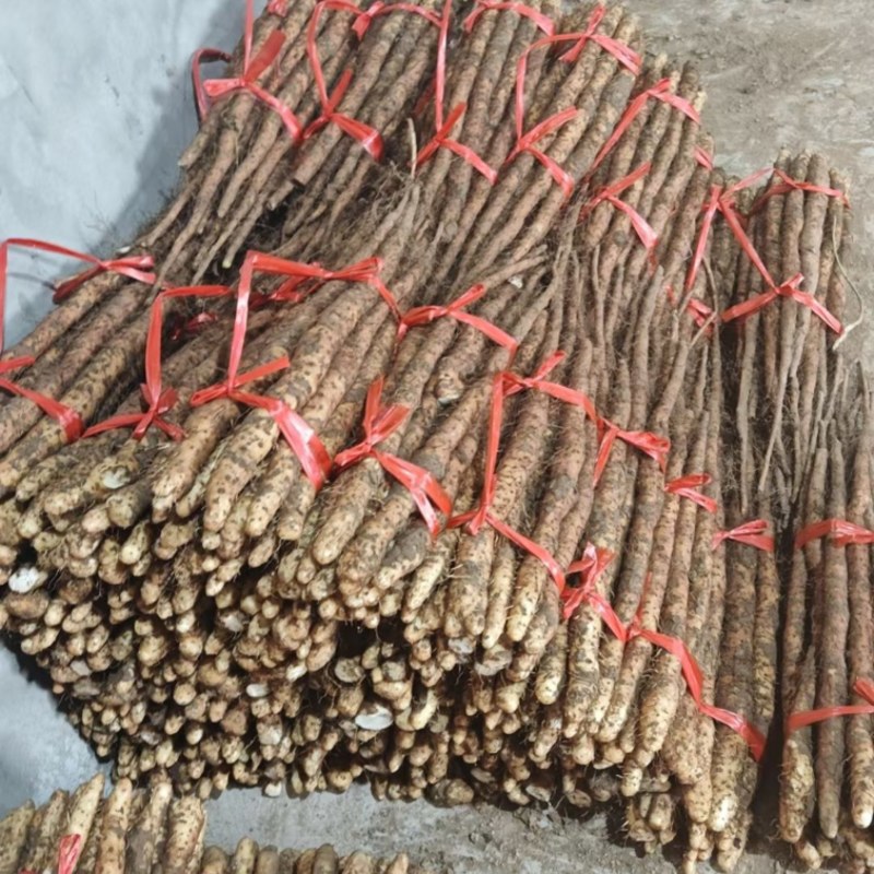 新鲜怀山药正宗焦作垆土山药温县产地发货散装盒子装铁棍山药