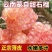 云南蒙自老树石榴，每天新鲜现摘现发