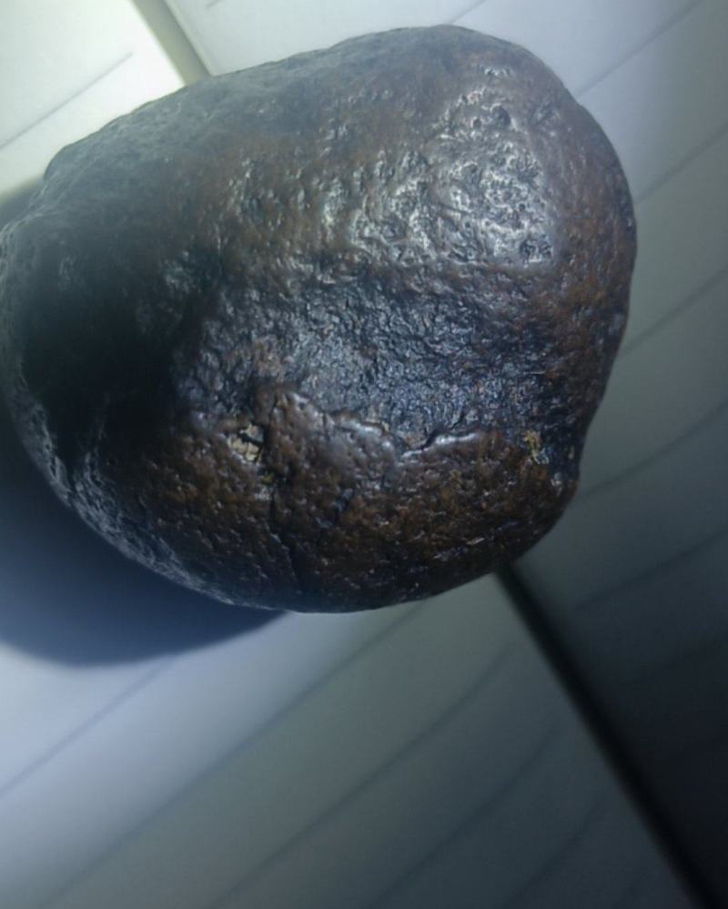 羊肚子里的石头