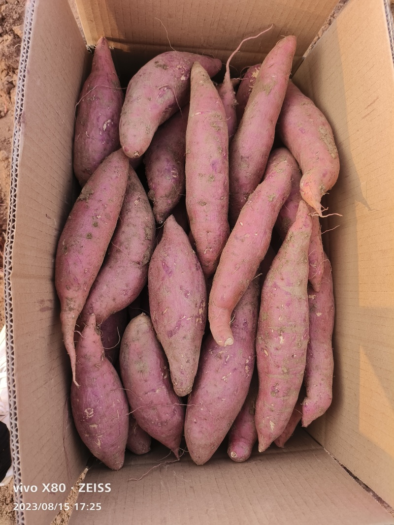 鲁南丘岭西瓜红