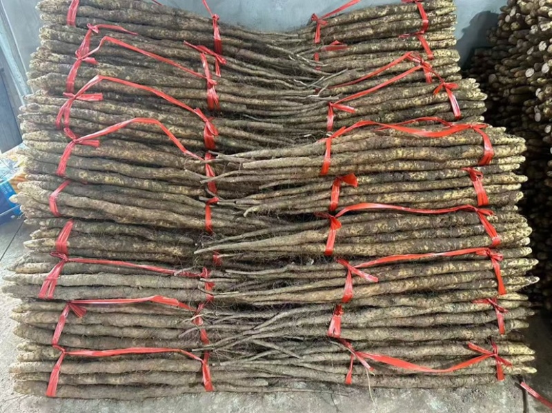 新鲜怀山药正宗焦作垆土山药温县产地发货散装盒子装铁棍山药