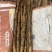 新鲜怀山药正宗焦作垆土山药温县产地发货散装盒子装铁棍山药