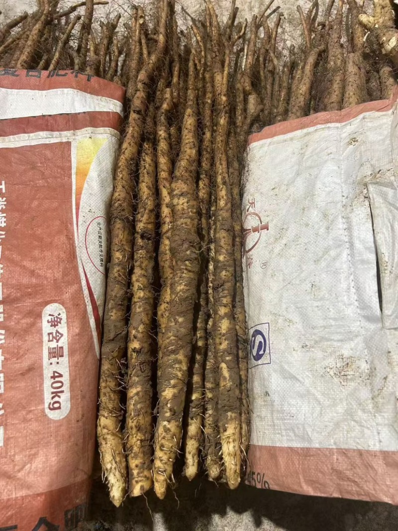 新鲜怀山药正宗焦作垆土山药温县产地发货散装盒子装铁棍山药
