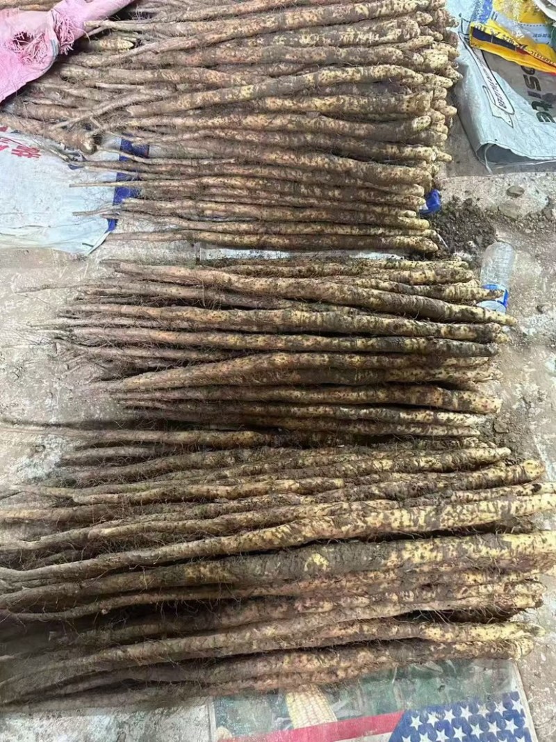 新鲜怀山药正宗焦作垆土山药温县产地发货散装盒子装铁棍山药
