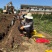 新鲜怀山药正宗焦作垆土山药温县产地发货散装盒子装铁棍山药