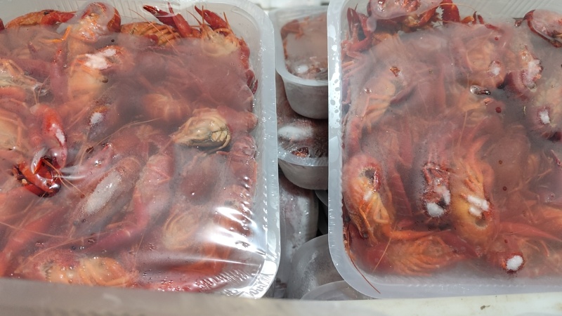 【麻辣小龙虾】液氮清水虾价格详谈每日行情波动1-2元