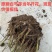 安徽白芍种苗根粗苗壮白芍种苗/高产量耐旱长期供应随时有货