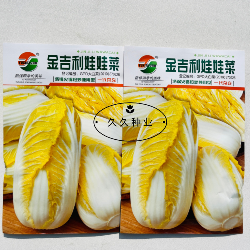金吉利娃娃菜种子叠抱直筒春秋播黄心大小白菜外叶绿心叶嫩黄