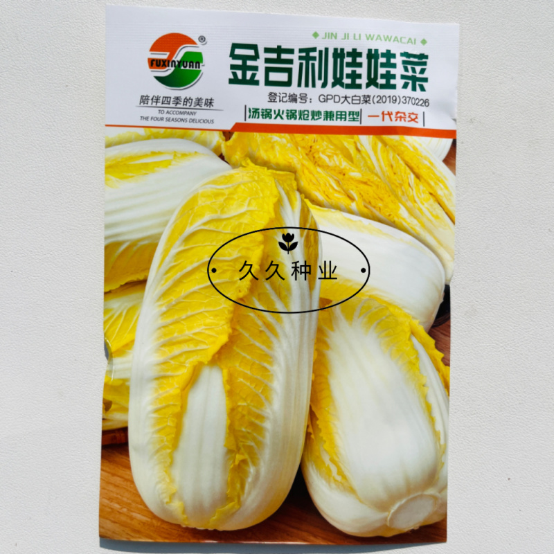 金吉利娃娃菜种子叠抱直筒春秋播黄心大小白菜外叶绿心叶嫩黄