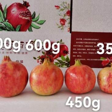 会泽盐水突尼斯软籽石榴