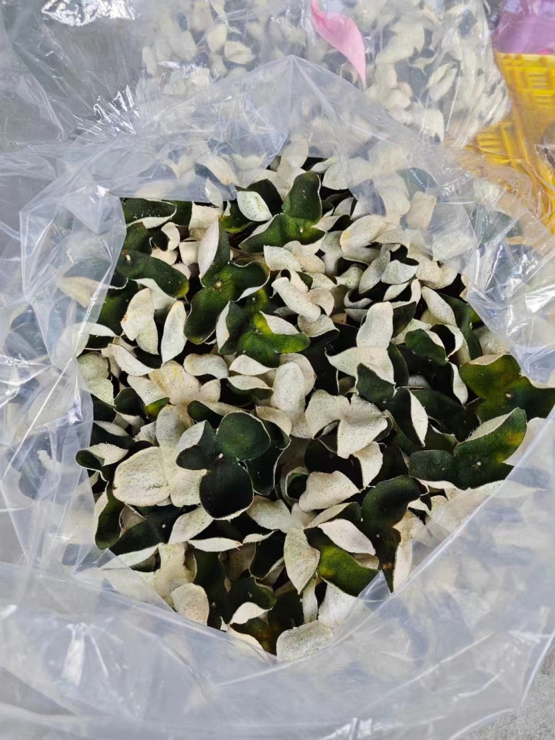 大量供应陈皮大青中青青皮，又名青橘皮