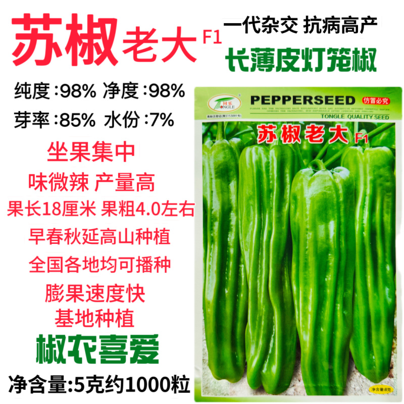 苏椒老大薄皮椒辣椒种子早熟大果抗病高产商品性佳泡椒种籽春