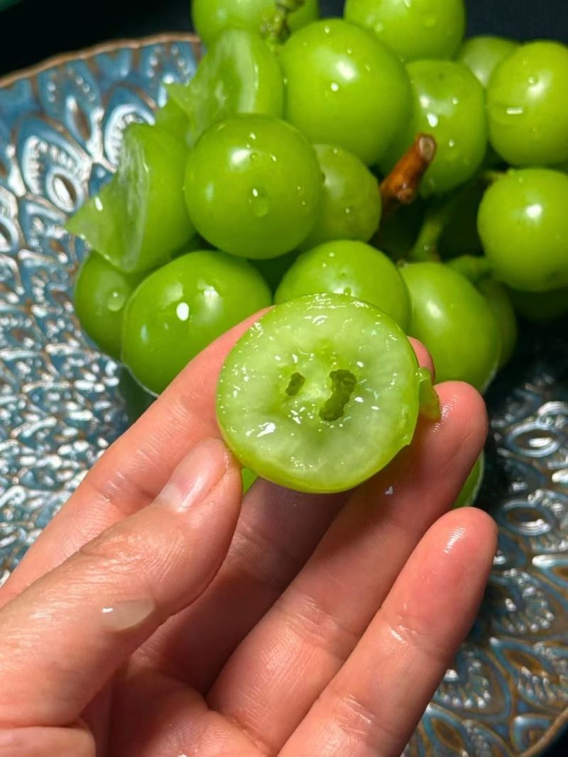 阳光玫瑰