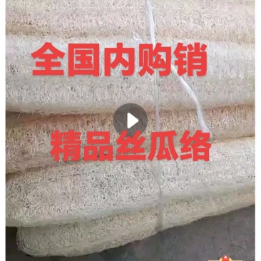 纯白丝瓜络，种植基地千亩新货20吨开免税发票。洗澡洗碗