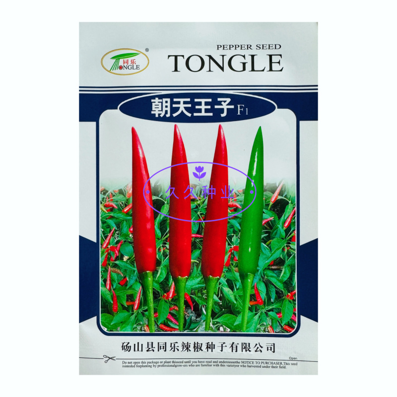 同乐朝天王子朝天椒种子韩国引进单生高产味香辣春秋季播辣椒
