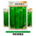 同乐青椒王粗长牛角型辣椒种子大果薄皮早熟高抗病毒