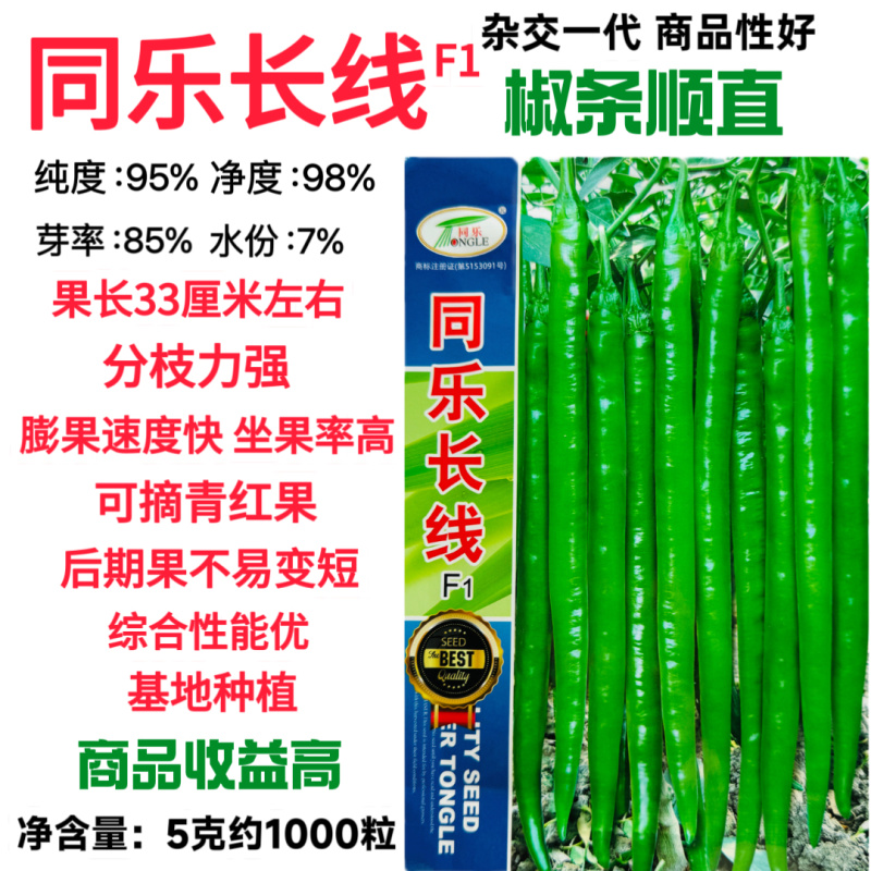 同乐长线辣椒种子早熟杂交种蔬菜种子味香辣可摘青红果线椒春
