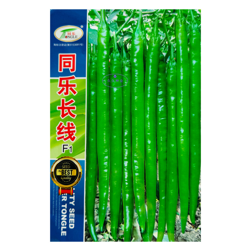 同乐长线辣椒种子早熟杂交种蔬菜种子味香辣可摘青红果线椒春