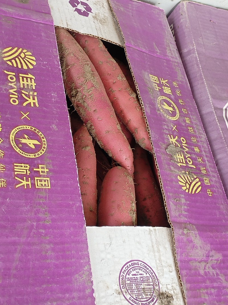 卖自家种的地瓜西瓜红地瓜甜又面红皮红心