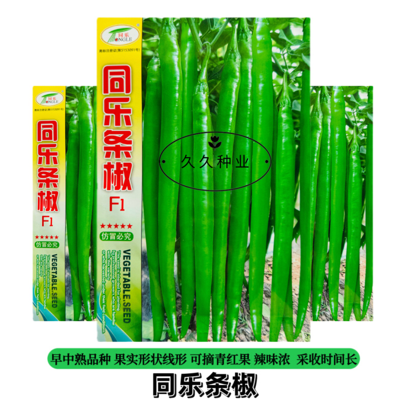 同乐条椒长线椒辣椒种子原装一代杂交产量高早中熟辣味浓