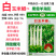 同乐白玉米椒辣椒种子中熟杂交一代果皮厚果形直辣味香浓